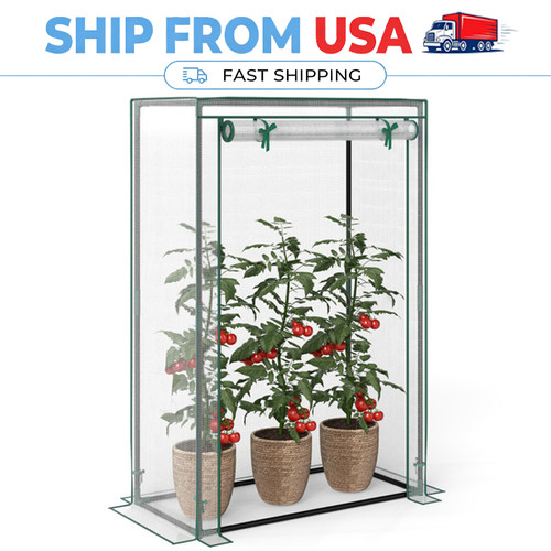 Mini greenhouse with - with, cover