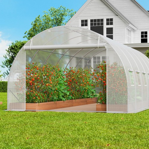 Walk tunnel greenhouse - tunnel,