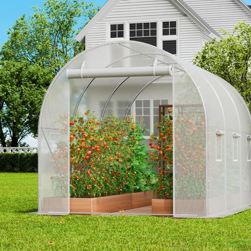 Walk tunnel greenhouse - walk-in,