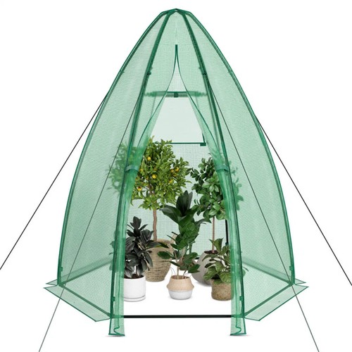 Hexagonal mini greenhouse - hexagonal,