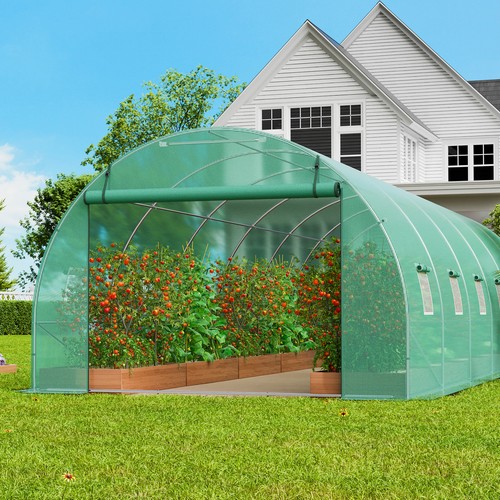 Walk tunnel greenhouse - tunnel,