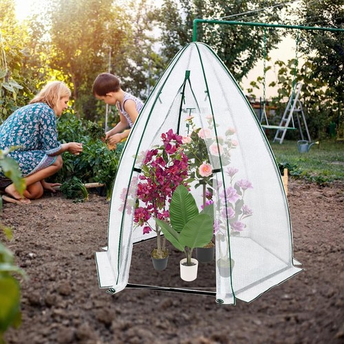 Gravee 54x54x71 greenhouse - 54x54x71",