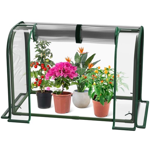 Mini greenhouse indoor - greenhouse,