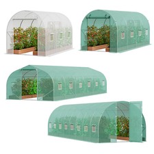 Walk-in Tunnel Greenhouse