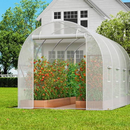 Walk tunnel greenhouse - tunnel,