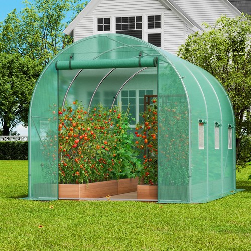 Walk tunnel greenhouse - walk-in,