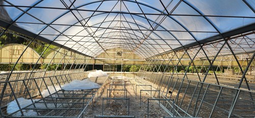 Greenhouse frame disassembled - greenhouse,