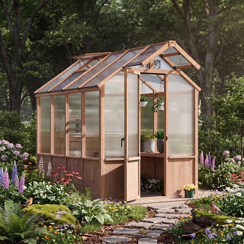 Extra tall cedar - extra-tall, wood