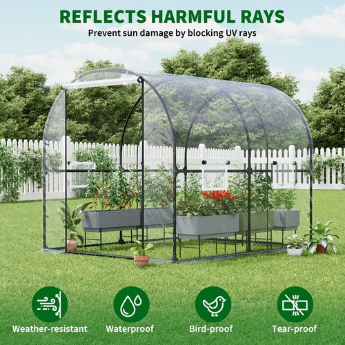 Walk tunnel greenhouse - walk-in,
