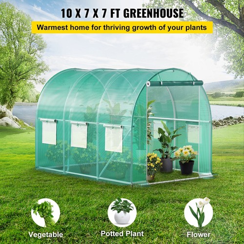 Walk tunnel greenhouse - tunnel, with